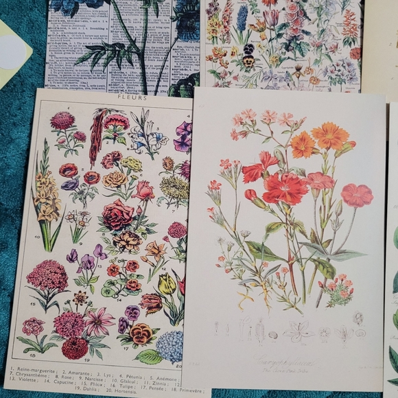 DIY Wall Collage Kit with double sided Wall adhesives DIY Dorm Room Wall Decor - Picture 2 of 7